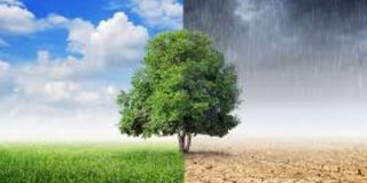  Environmental Science 
