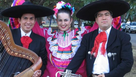  Viva Mexico (NSW) 