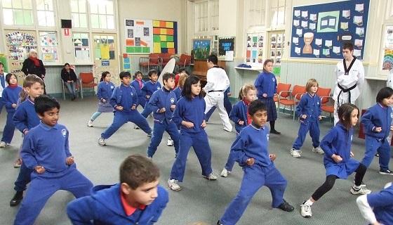  Chinese Martial Arts ( VIC, NSW, QLD, WA, ACT) 